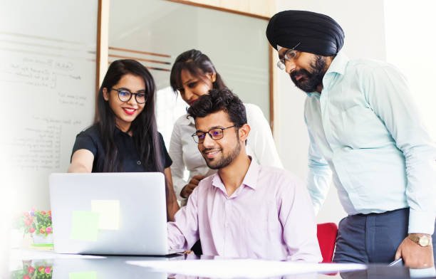 Professional Software Development Team